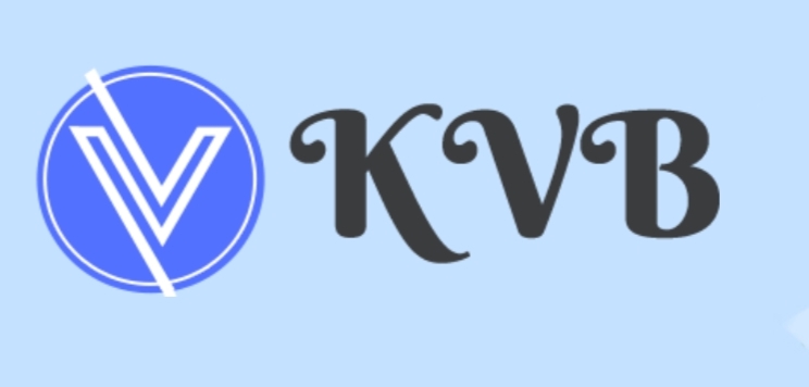 KVB staffing solution Pvt Ltd 